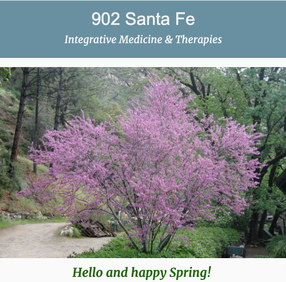 Spring Newsletter